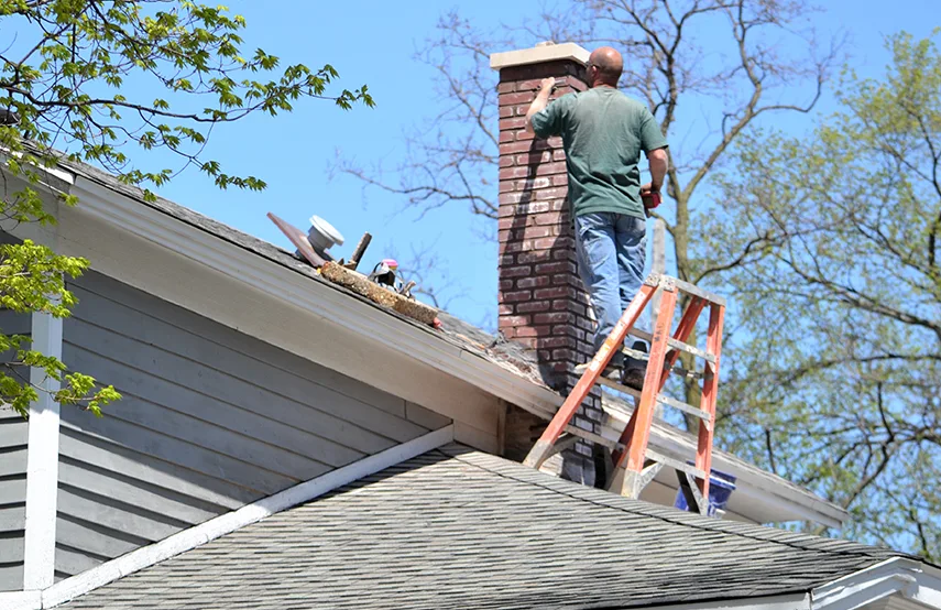 Chimney & Fireplace Inspections Services in Newton, MA